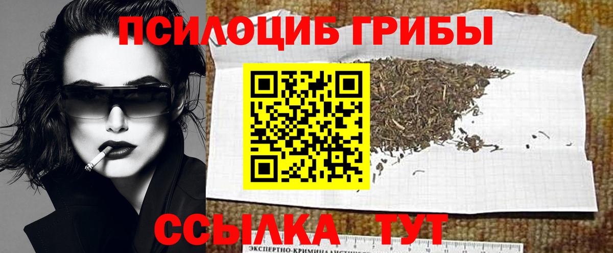 Галлюциногенные грибы ЛСД Орёл