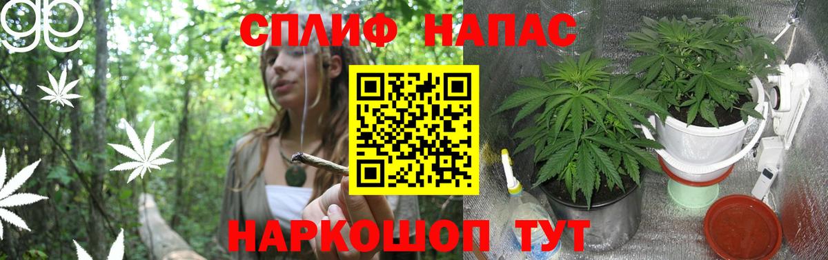 Канабис THC 21%  Вход с VPN  Канабис LSD WEED  Орёл  Шишки марихуана White Widow 